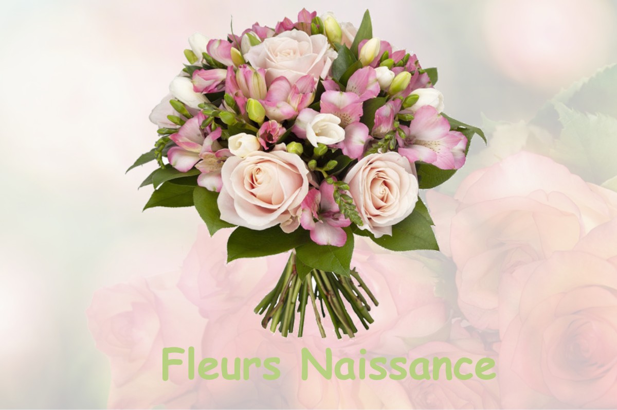 fleurs naissance LE-LOUROUX-BECONNAIS