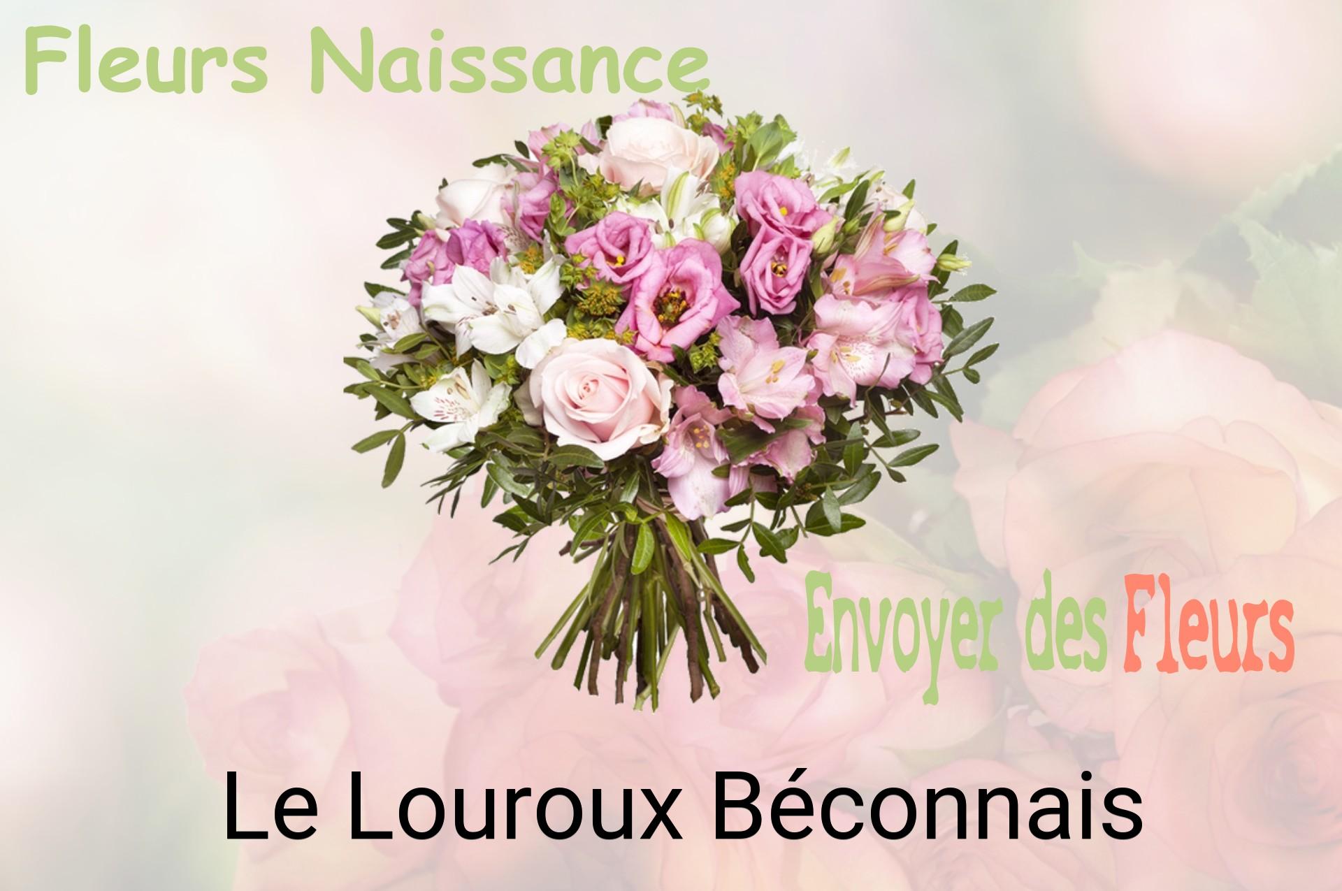 Bouquet de fleurs de naissance livré à Le Louroux-Béconnais
